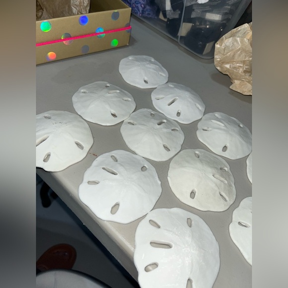 SAND-DOLLAR COLLECTION (NOT REAL) - Picture 2 of 8